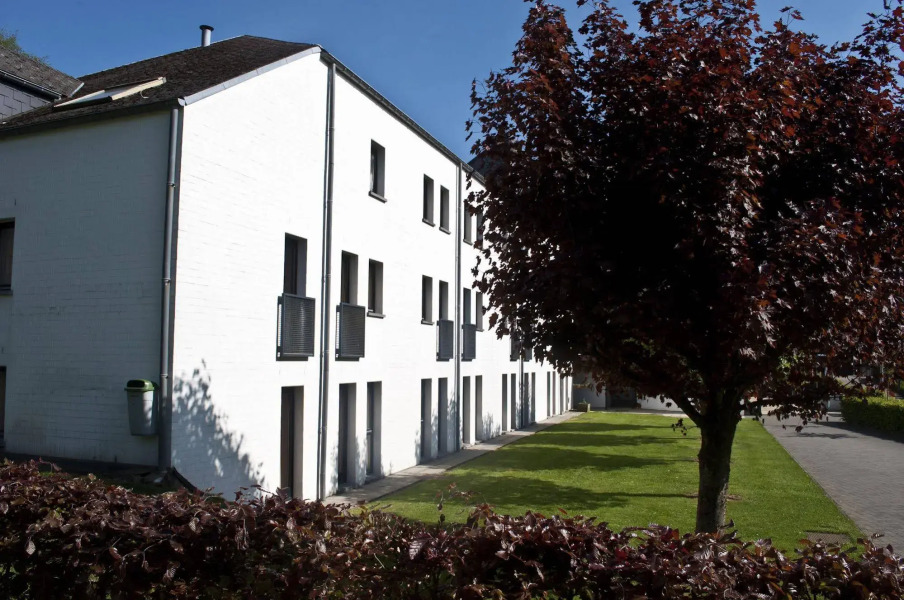 Corsendonk Sol Cress