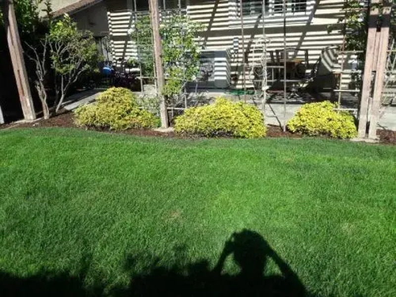 3 Private Rooms Near Apple + Free Organic Breakfast