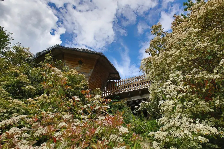 Gite Chêne - O'Reiller