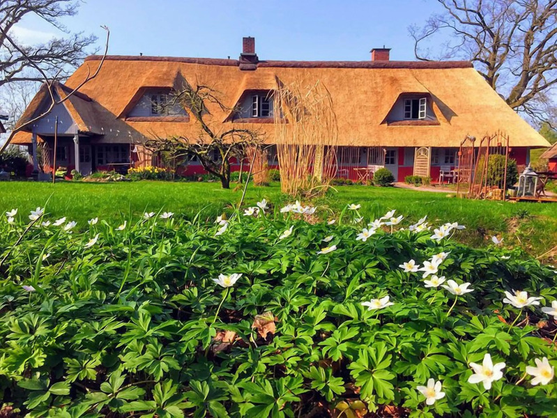 Wegekaten - Ferienwohnungen unter Reet