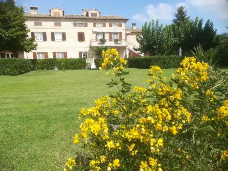 Schito 114 Country Life