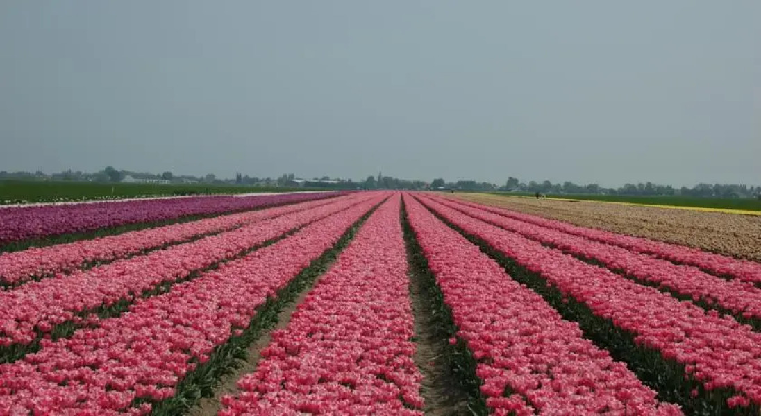 Bed & Breakfast T Langhûus