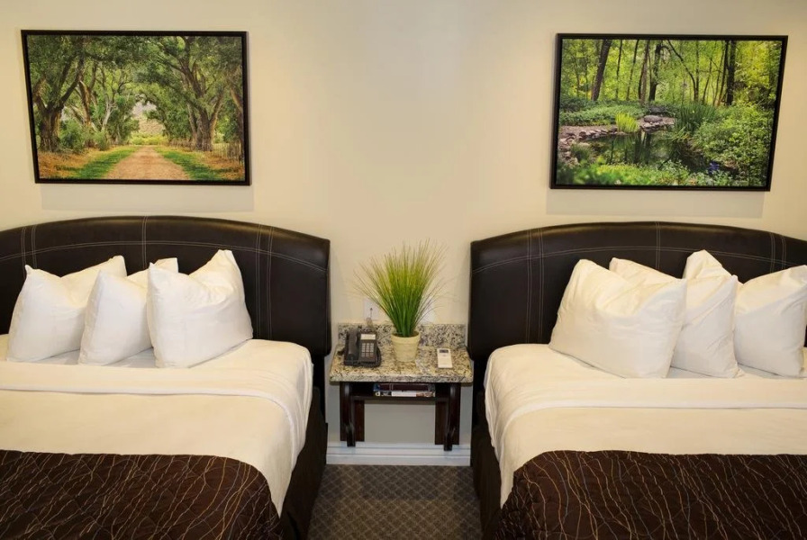 Primrose Inn & Suites