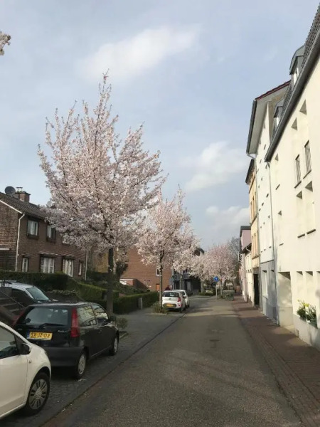 Vaals Aachen Suite Apartment