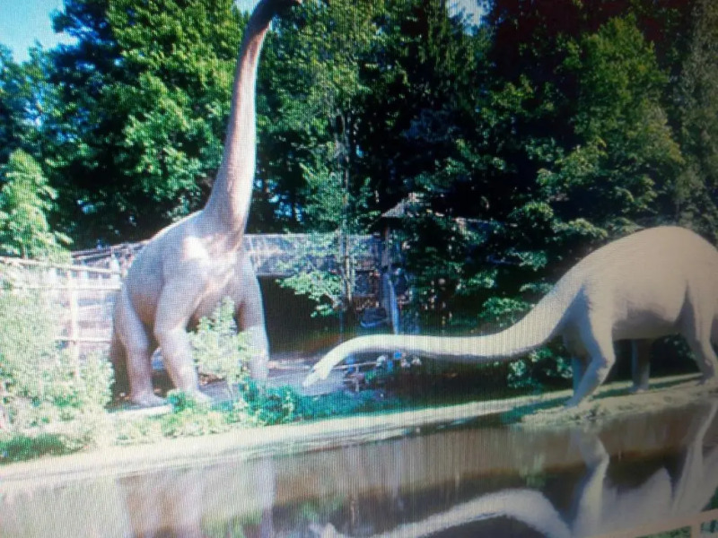 Hotel & Pension Aßmann