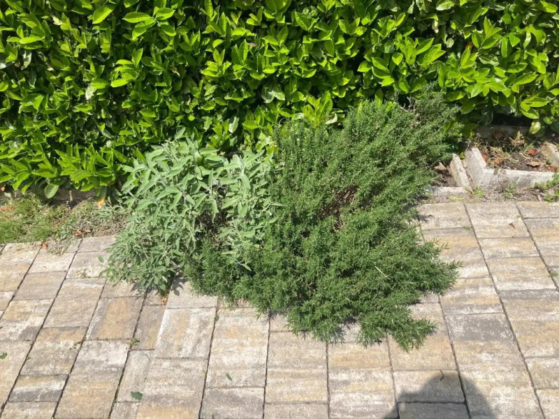 Family apartment with super view and swimming pool