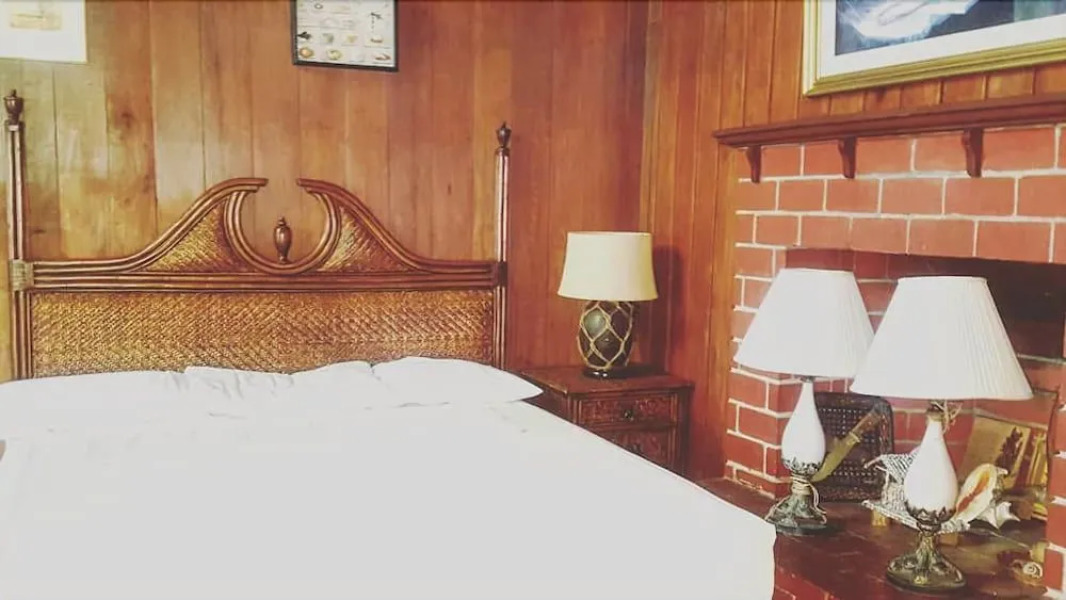 The Pelicans Castaway