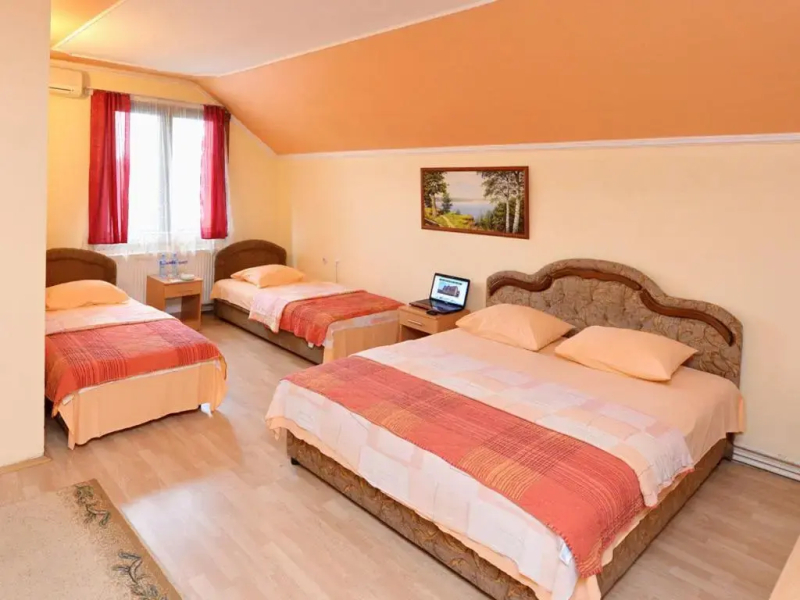 Vila Bor