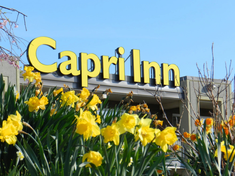 Capri Inn
