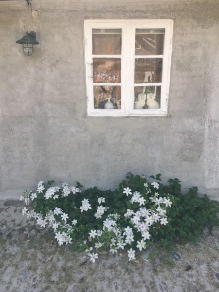 Farm 61 Bed & Breakfast