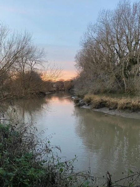 Sea Salt Cottage - Mins to beach & shops Dog Friendly