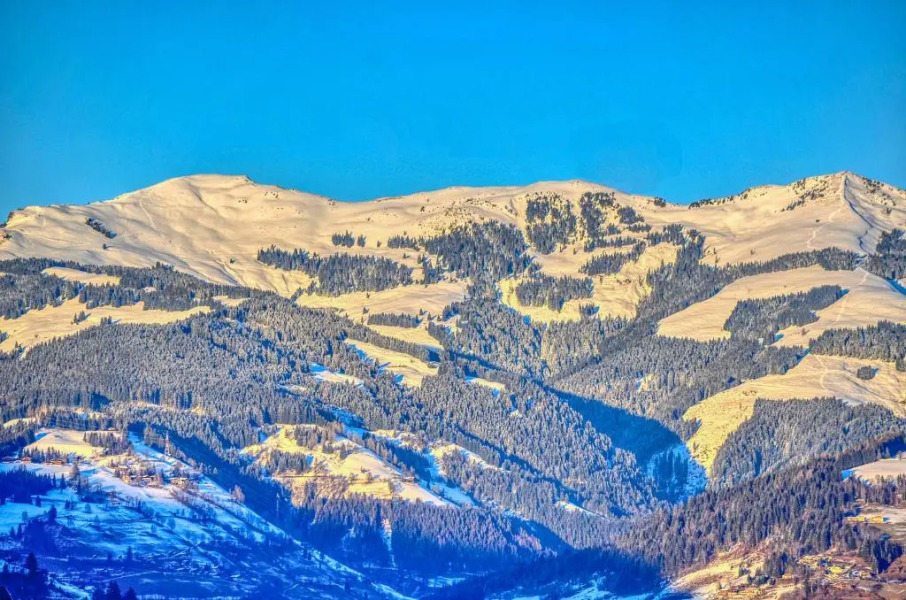 Haus Kitzsteinhorn 7 - Edelweiss by Alpen Apartments