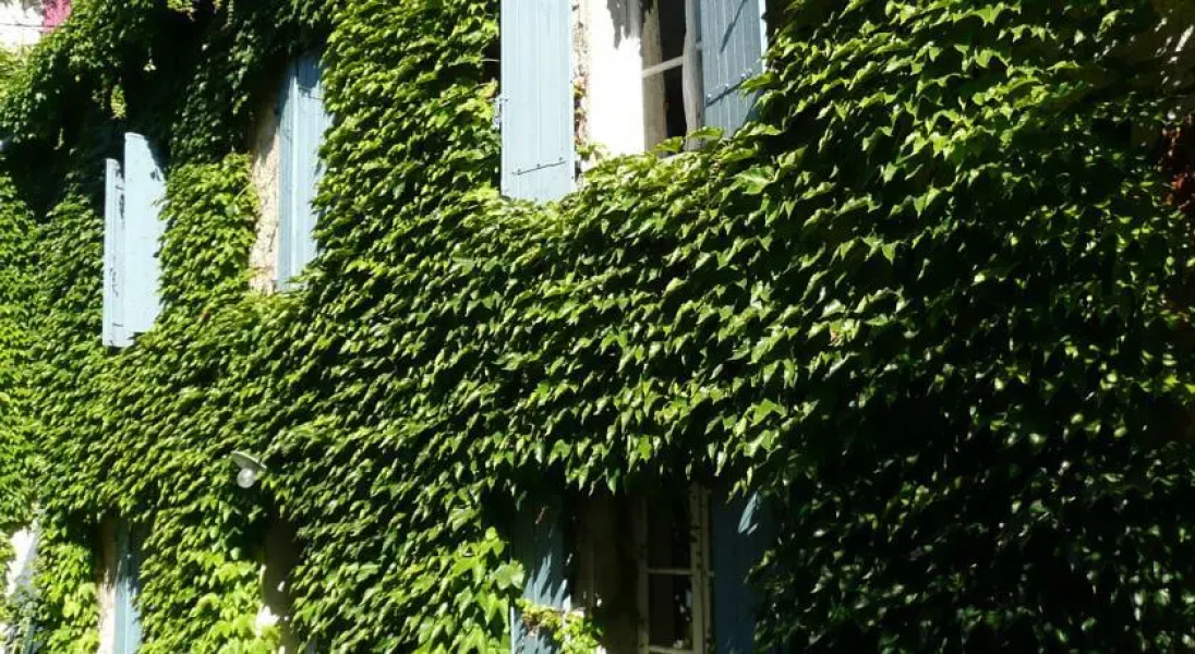 Lautre côté du lavoir