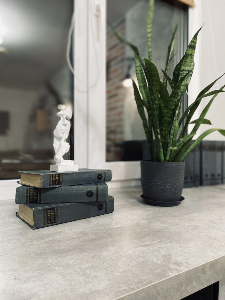 Квартира Лофт в Центре Выксы