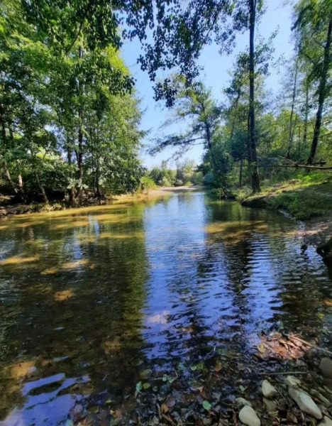 Частный дом на берегу реки Абин