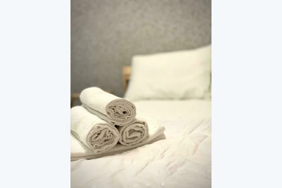 Апартаменты Суворова Апарт-88