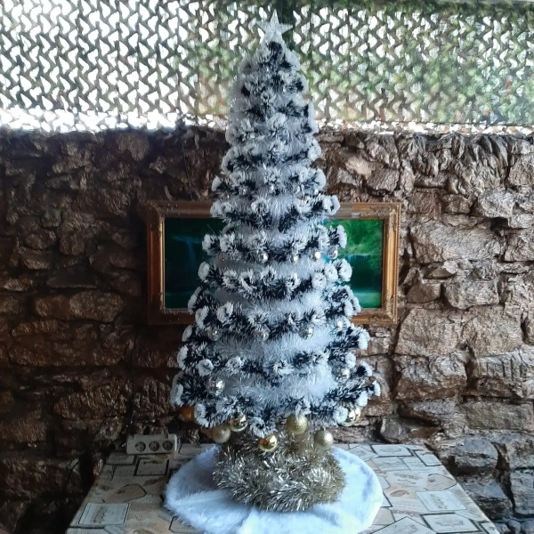 Частный дом Княжна Мери