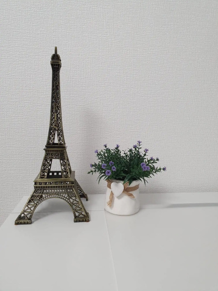 Апартаменты Хочу В Париж