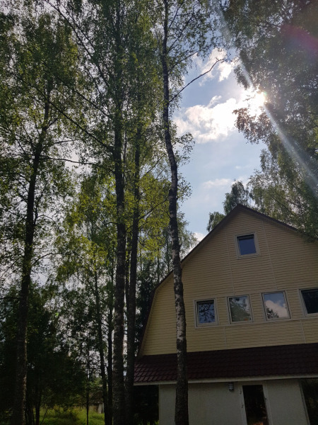 Гостевой дом Березовая роща