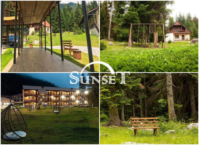 Sunset Shovi
