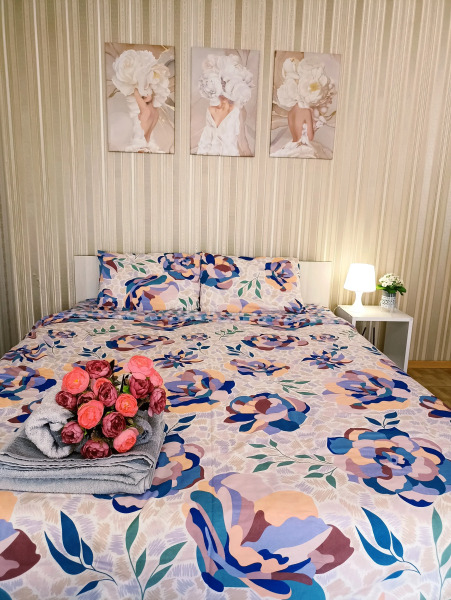 Апартаменты Центр