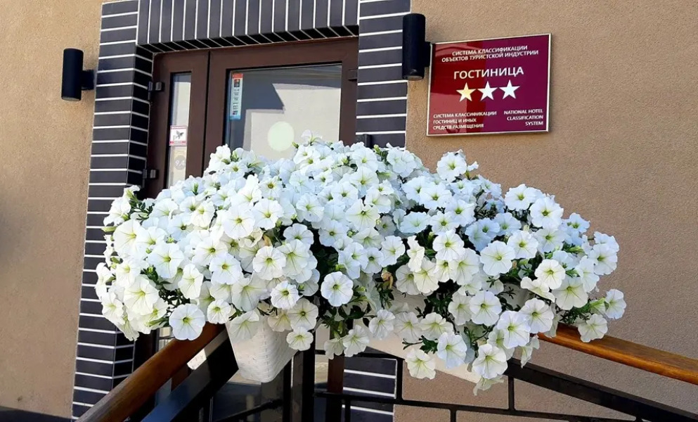 Мини-Отель Геркулес