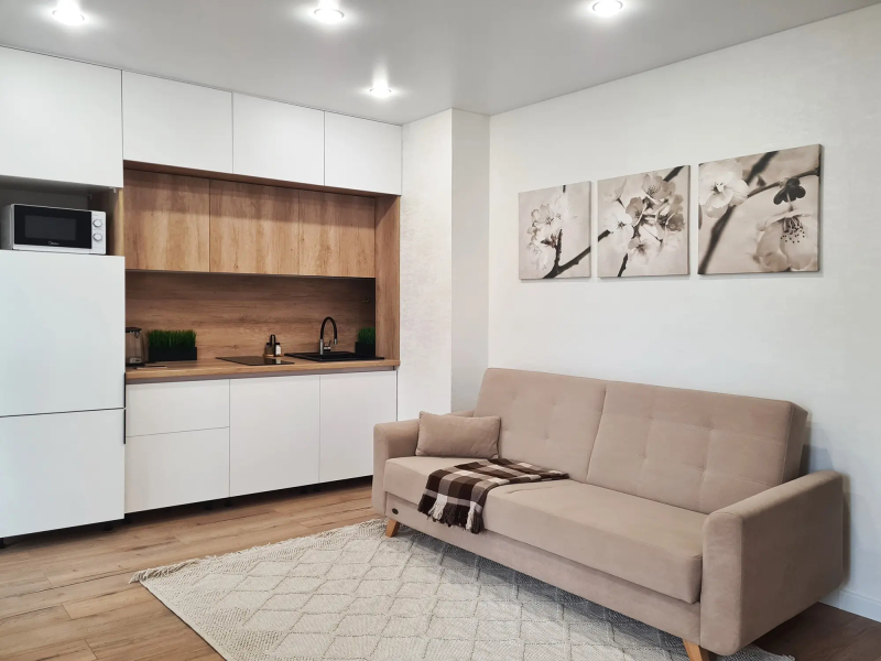 Квартира в Центре города Минск-Мир