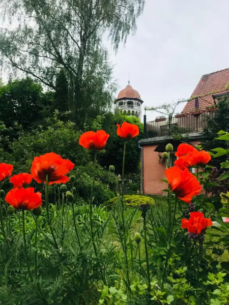 Апартаменты в Сердце Светлогорска
