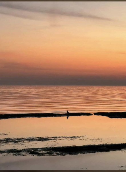 Апартаменты Времена Года 15