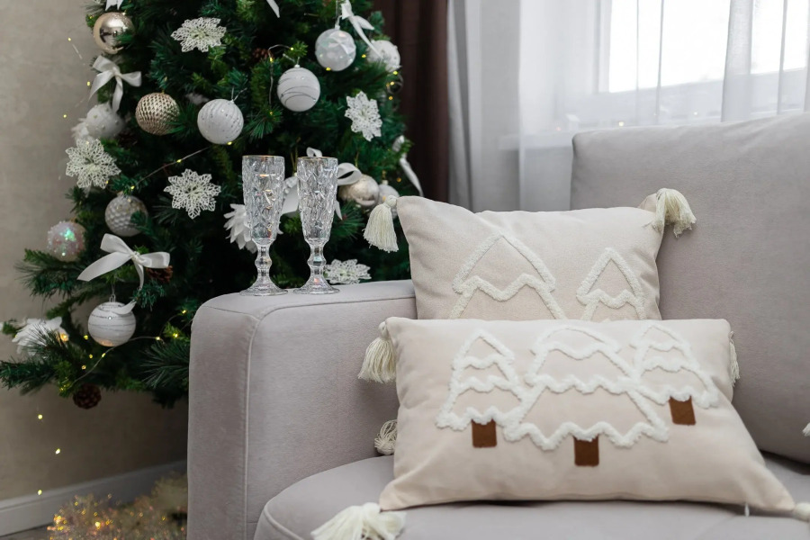 Квартира на Елизаветинской 5