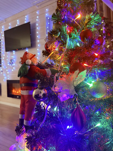 Гостевой дом Ladoga Dreams с сауной