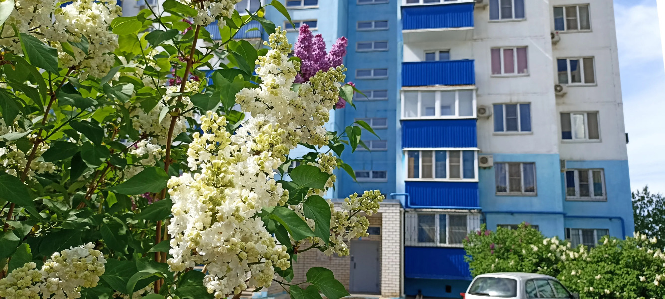 Апартаменты Комфорт и домашний уют 116