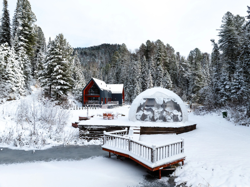 Шале Алтай Forest Glamp