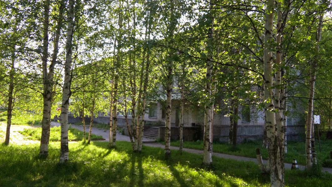 Гостиница Альянс