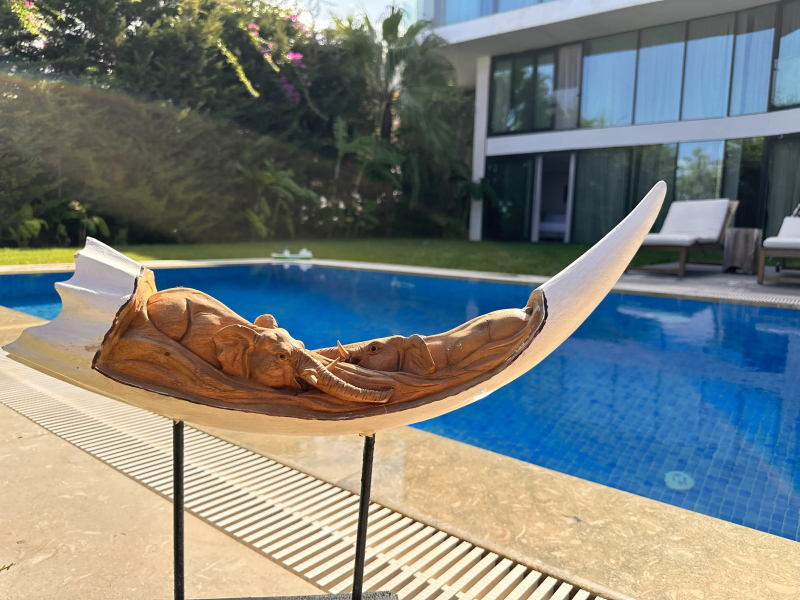 Вилла Дуплекс вилла 4+1 с частным бассейном на территории отеля 5* Бодрум