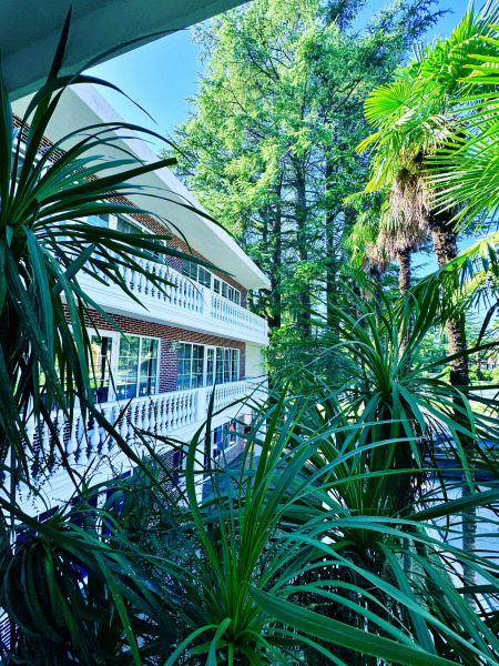 Парк-отель Кедр