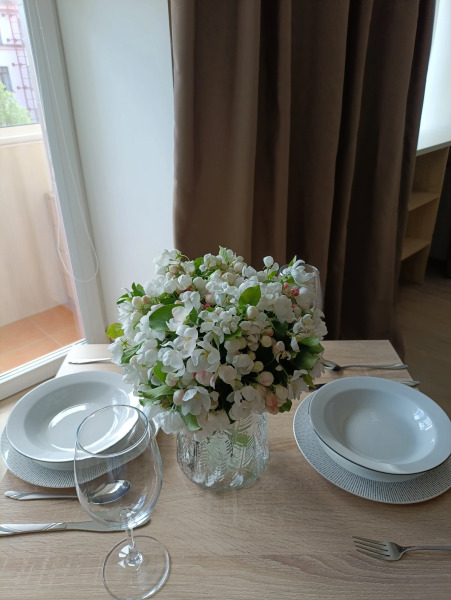 Квартира Студия с Джакузи в Центре Архангельска