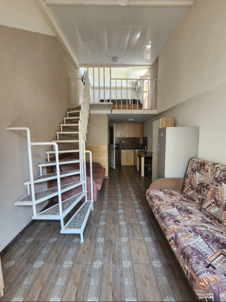 Апартаменты И сон И дом Буачидзе 2/12