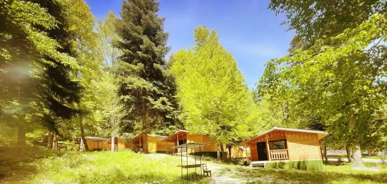 Горная Мята