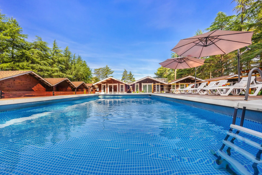 Курортный отель Отель Eco House Pitiunt