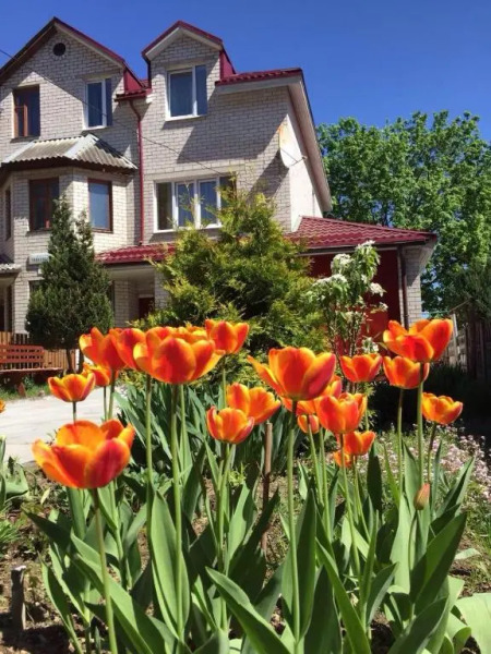 Гостевой дом Homey Home