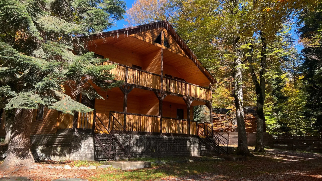 База отдыха Архыз Resort