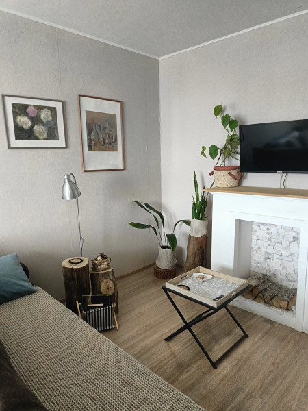 Апартаменты на Коммунальной сканди стиль