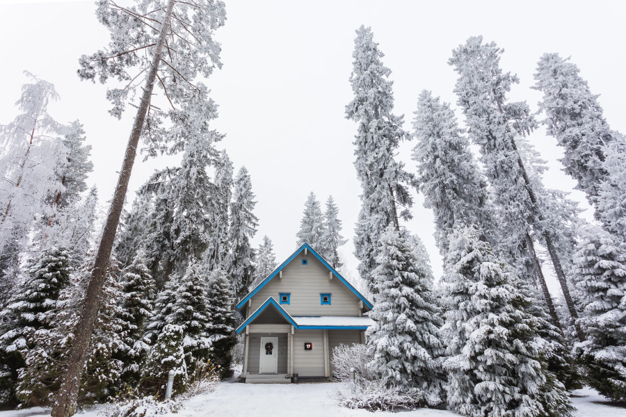 Отель Курорт Игора