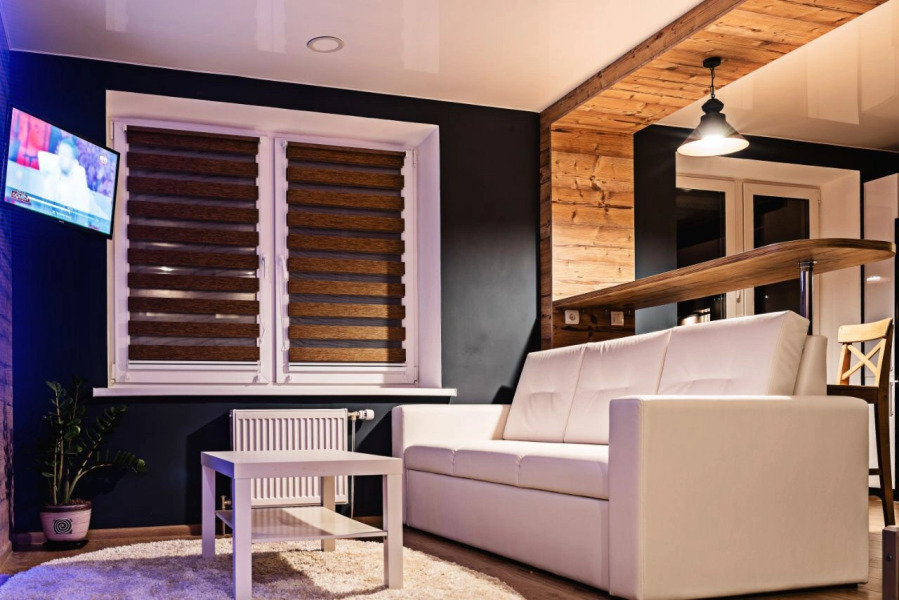 Апартаменты Студия с видом на город