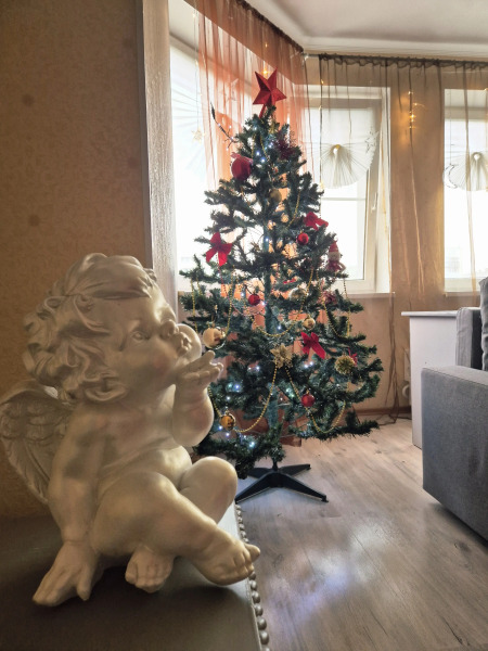 Квартира Просторная квартира с эркером в центре города-героя