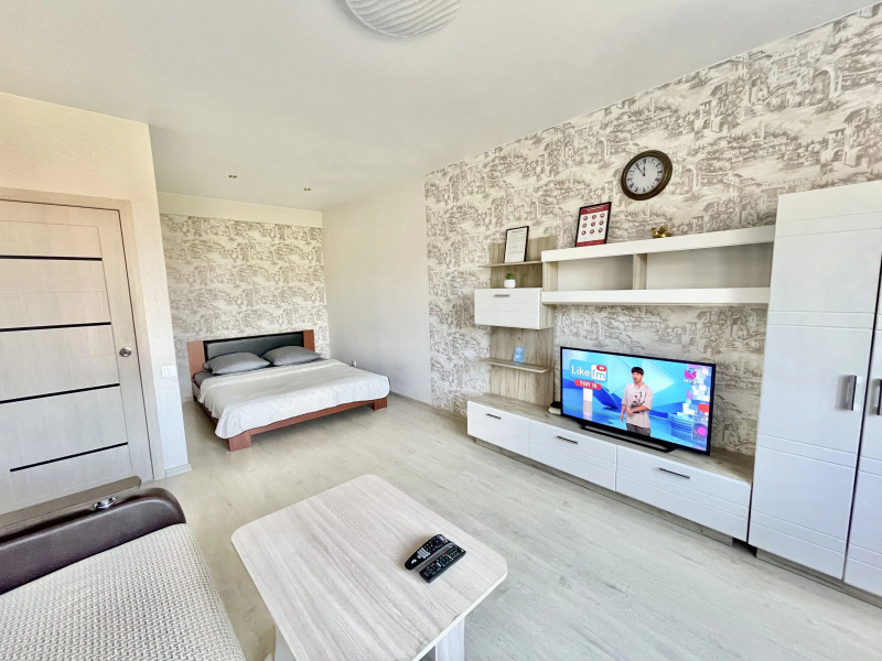 Большая однокомнатная квартира сети "PanApartments" на центральной улице города