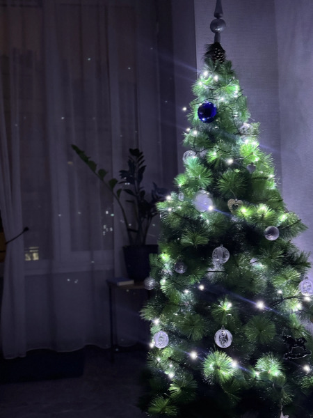 Квартира NASUTKI_KLD_Tenistay