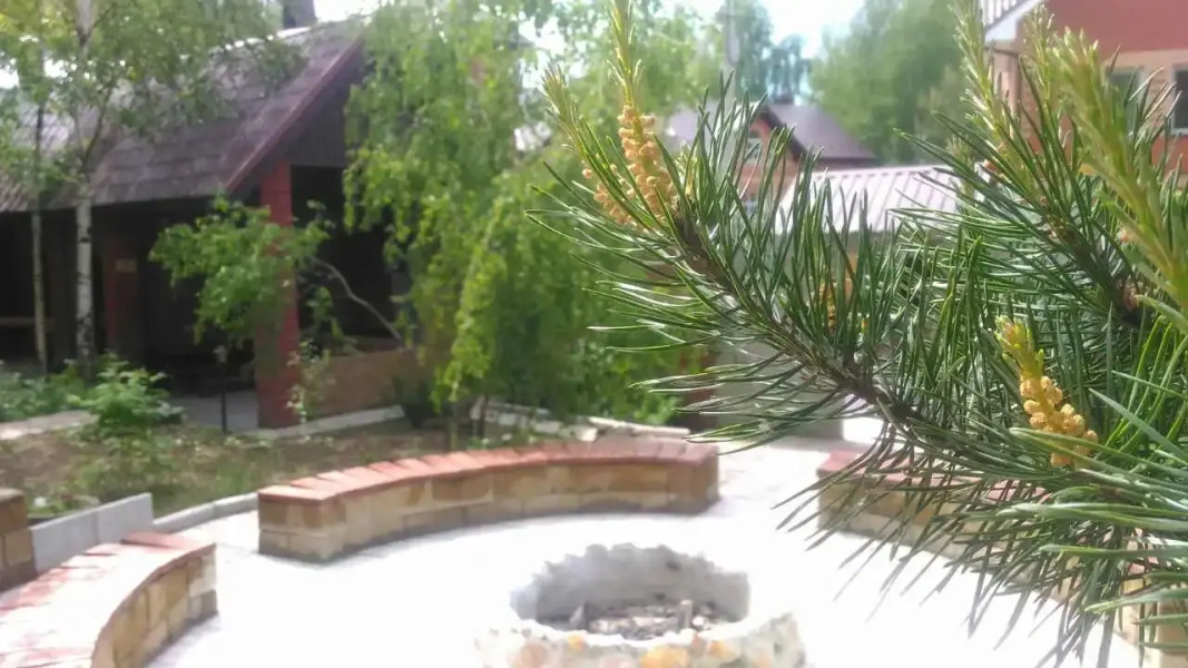 Гостевой дом Сосновая аллея в Дядькино