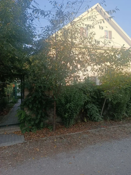 Гостевой дом Два Ясеня